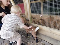 IMG_20240526_111453267