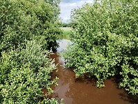 IMG_20240527_152651283