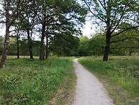 IMG_20240527_151656947