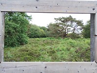 IMG_20240527_151545312