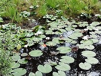 IMG_20240527_143503994