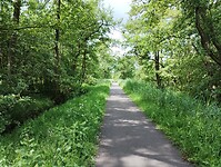 IMG_20240527_115045069
