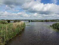 IMG_20240527_110647815