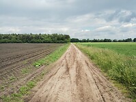 IMG_20240528_141524455