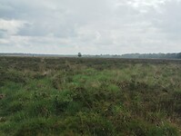 IMG_20240528_140442711