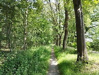 IMG_20240528_125206205