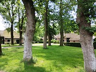 IMG_20240528_123453185