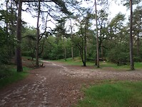 IMG_20240528_103500657