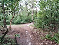 IMG_20240528_103326296