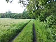 IMG_20240528_101412326