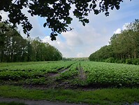 IMG_20240528_095227991_HDR