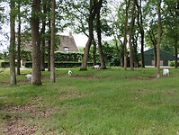 IMG_20240528_092953563