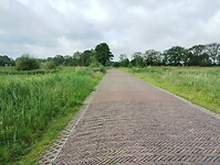 IMG_20240528_091443559