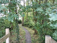 IMG_20240528_090225579