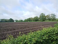 IMG_20240528_085728966