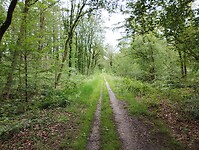 IMG_20240529_141921247