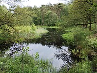 IMG_20240529_141731742
