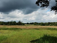 IMG_20240529_141444414