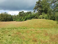 IMG_20240529_140634915