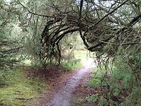 IMG_20240529_140419020