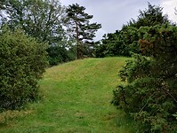 IMG_20240529_140341203_HDR