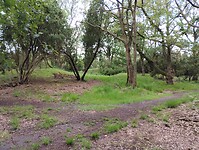 IMG_20240529_140205078