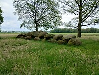 IMG_20240529_130222530_HDR