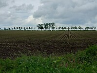 IMG_20240529_130045165_HDR