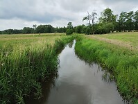 IMG_20240529_124346879