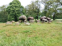 IMG_20240529_113547356