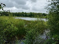 IMG_20240529_112829503_HDR