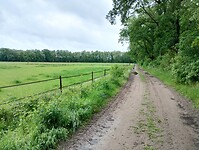 IMG_20240529_111546214_HDR