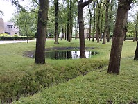 IMG_20240529_105226259