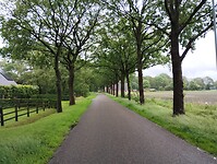 IMG_20240529_104434306