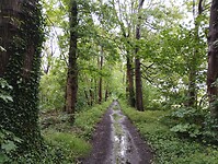 IMG_20240529_091345074