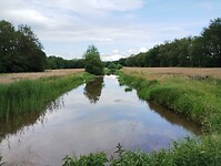 IMG_20240530_161736964