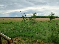 IMG_20240530_142556426_HDR