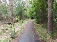 IMG_20240530_140600678