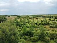 IMG_20240530_135245676