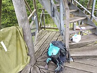 IMG_20240530_131634839