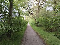 IMG_20240530_124107344