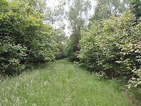 IMG_20240530_122413243