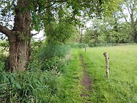 IMG_20240530_114648711