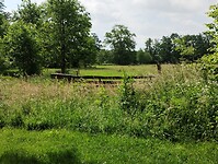IMG_20240530_110655873