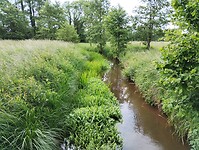 IMG_20240530_105540609