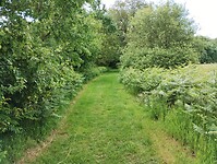 IMG_20240530_105103639
