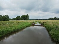 IMG_20240530_103849847