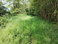 IMG_20240530_103332586