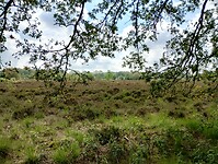 IMG_20240530_102341477_HDR
