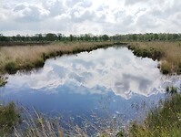 IMG_20240530_102019191